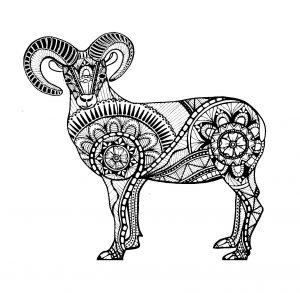 Zentangle drawing of a ram